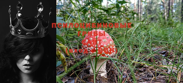 марки lsd Волоколамск