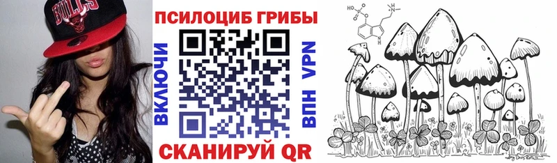 Купить где  Судак  Псилоцибиновые грибы прущие грибы 