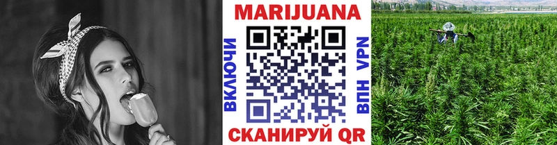 Купить где Судак Бошки Шишки Amnesia